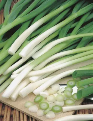 Spring Onion Seeds