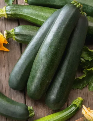 Zucchini Seeds