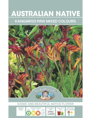Kangaroo Paw Mixed Colours