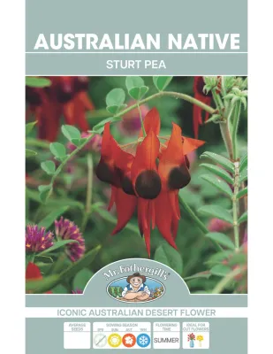 Sturt Pea