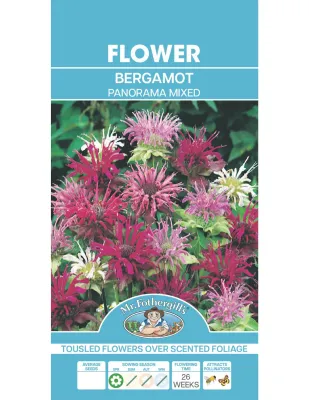 Bergamot Seeds