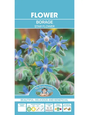 Borage Seeds