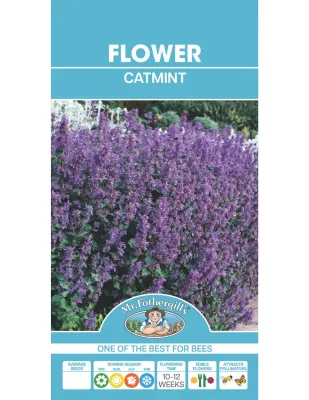 Catmint Seeds
