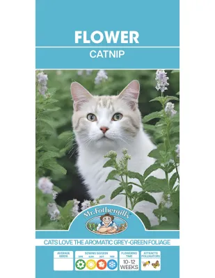 Catnip Seeds