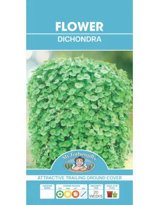 Dichondra Seeds
