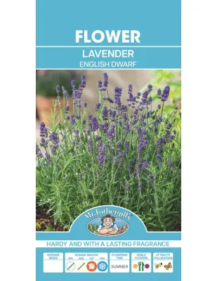 Lavender Seeds