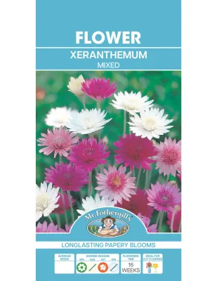Xeranthemum Seeds