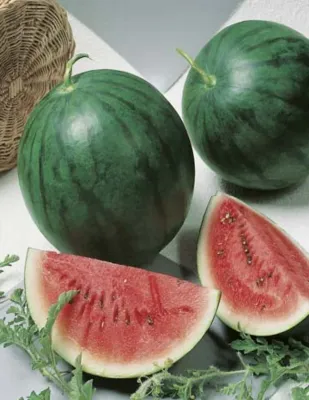 Watermelon Seeds