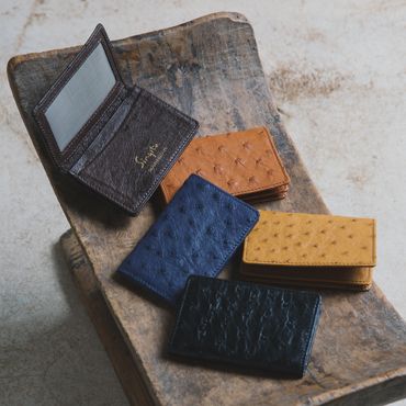 Ostrich Skin Card Holder