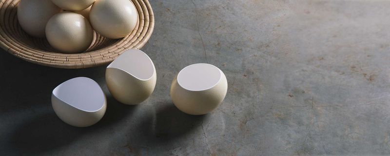 Ostrich Egg T/Light