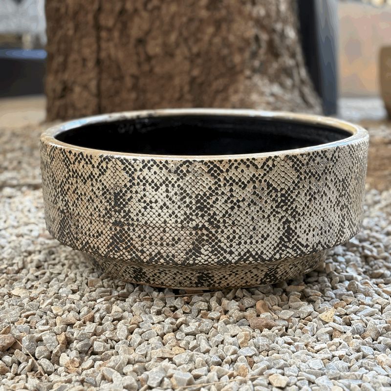 Bowl Ceramic Low Snake Print
