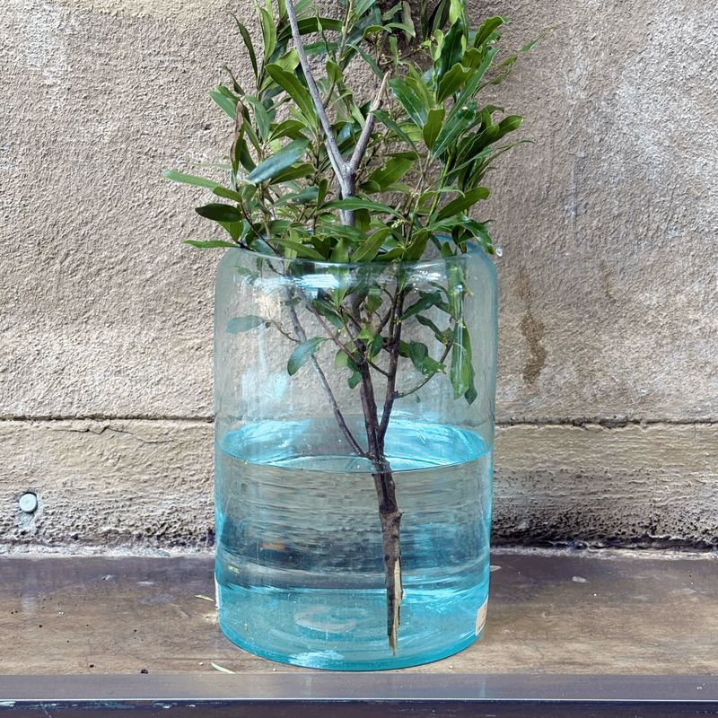 Blue Glass Vases