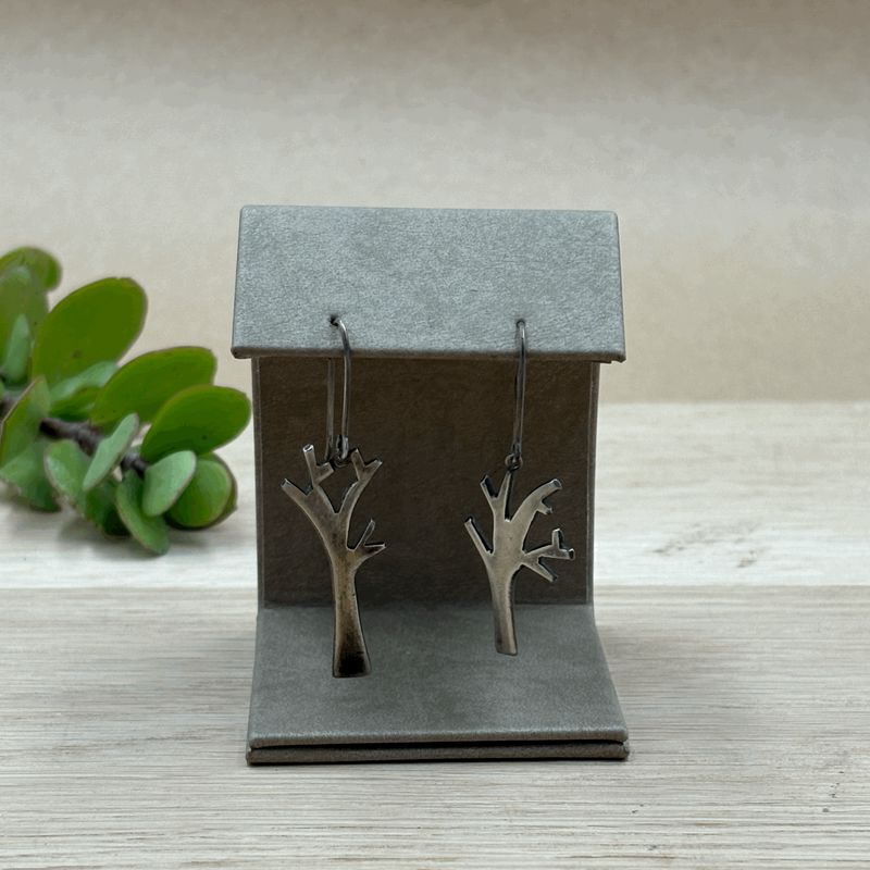 Silver Earrings
