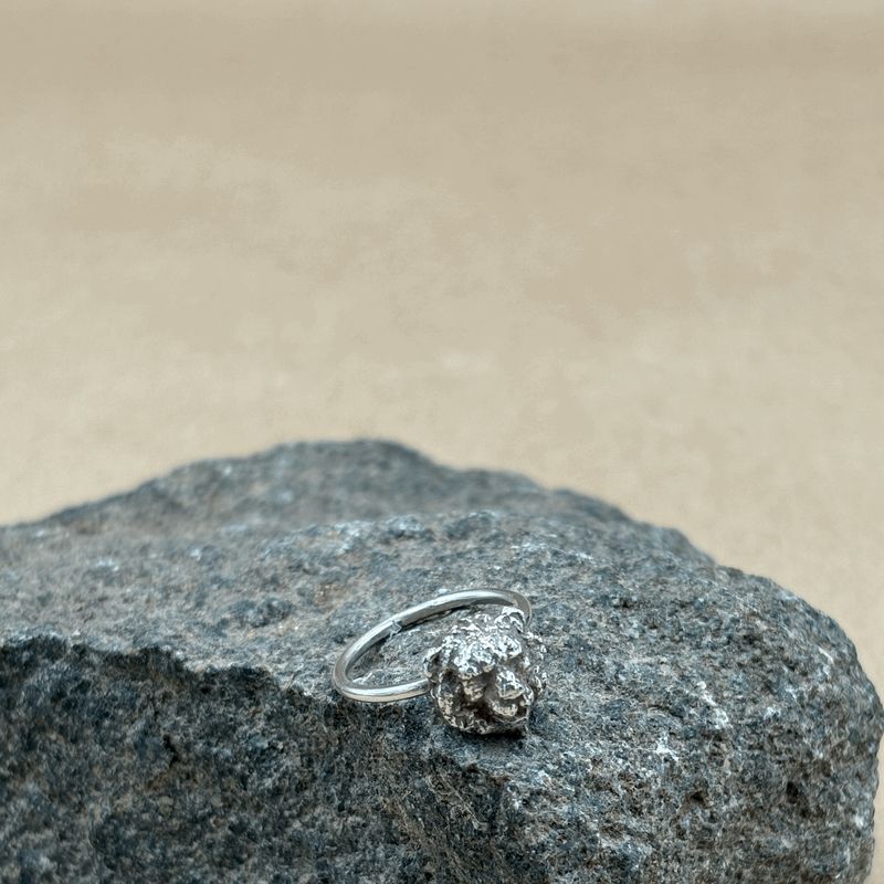 Animal Ring