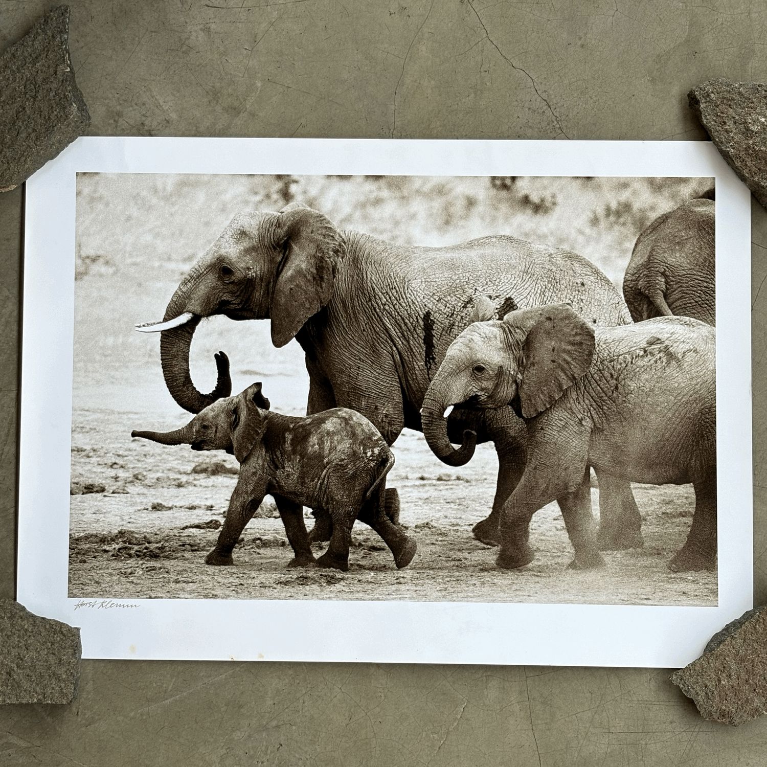 Horst Klemm Fine Art Prints