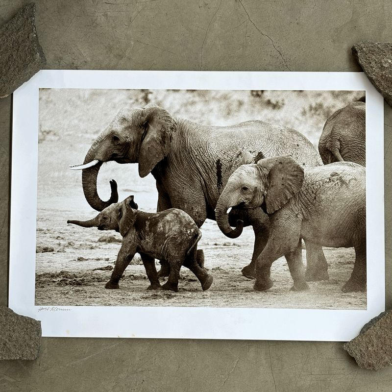 Horst Klemm Fine Art Prints