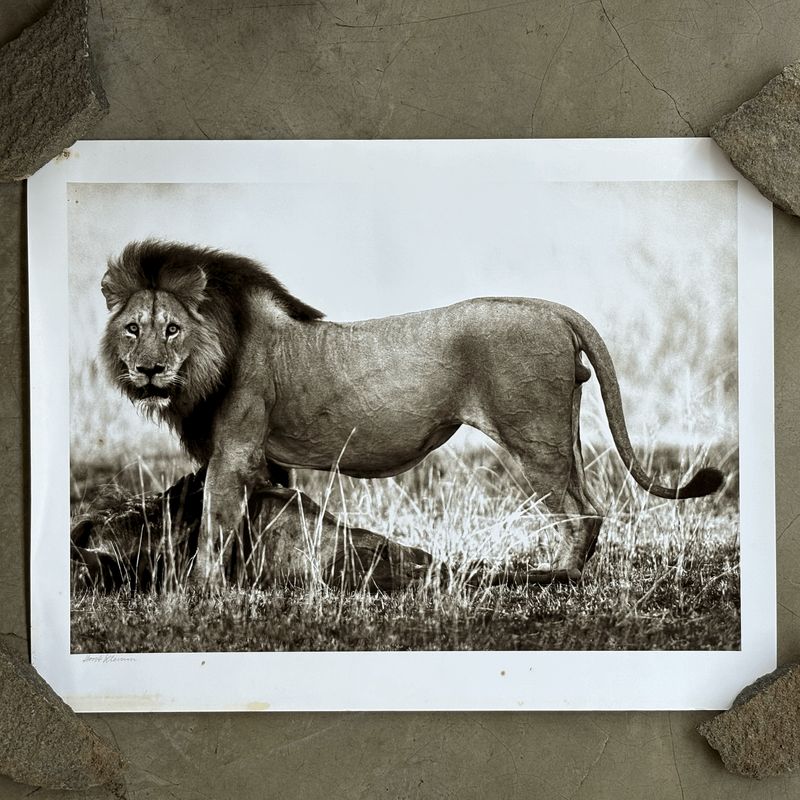 Horst Klemm Fine Art Prints