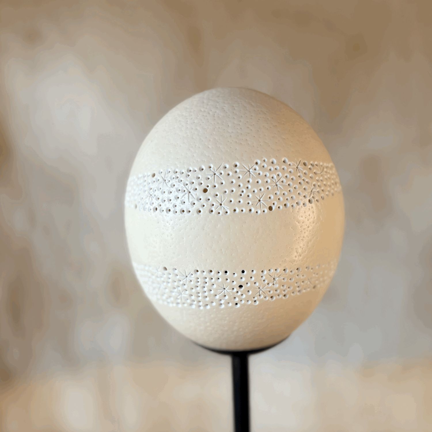 Lamp Ostrich Egg
