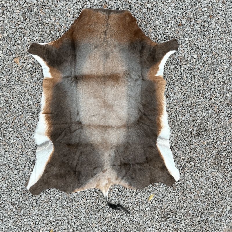 Skin Blesbok Grade A Lrg