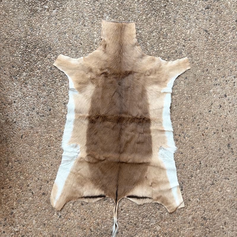 Skin Blesbok Grade A Lrg