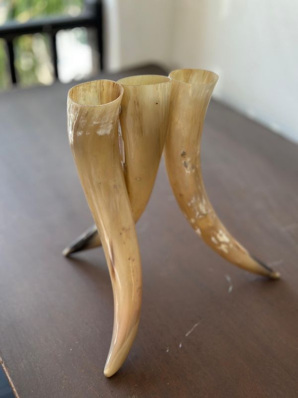 Vase Triple Horn