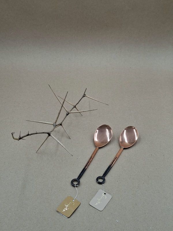 Copper Spoon