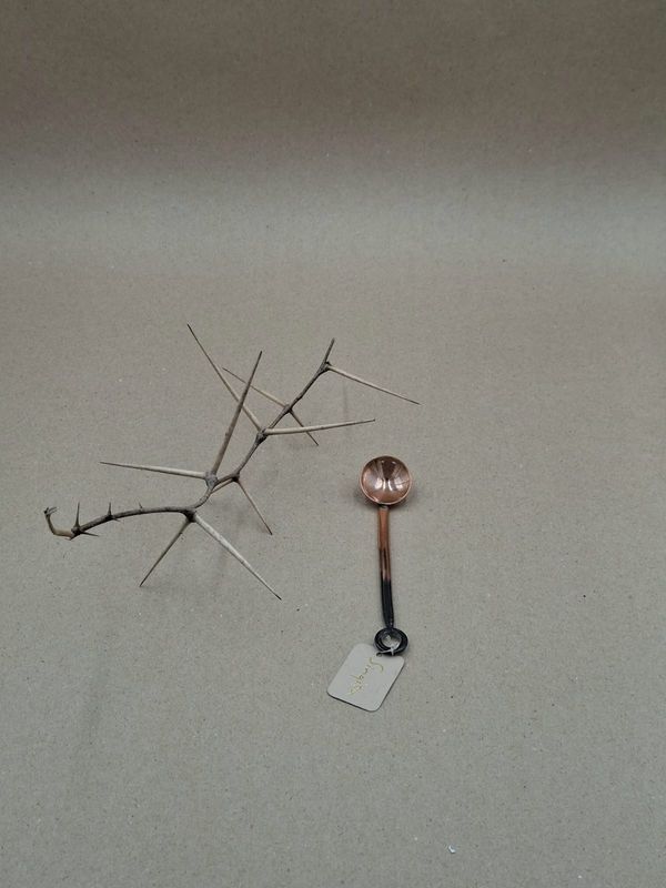Copper Spoon