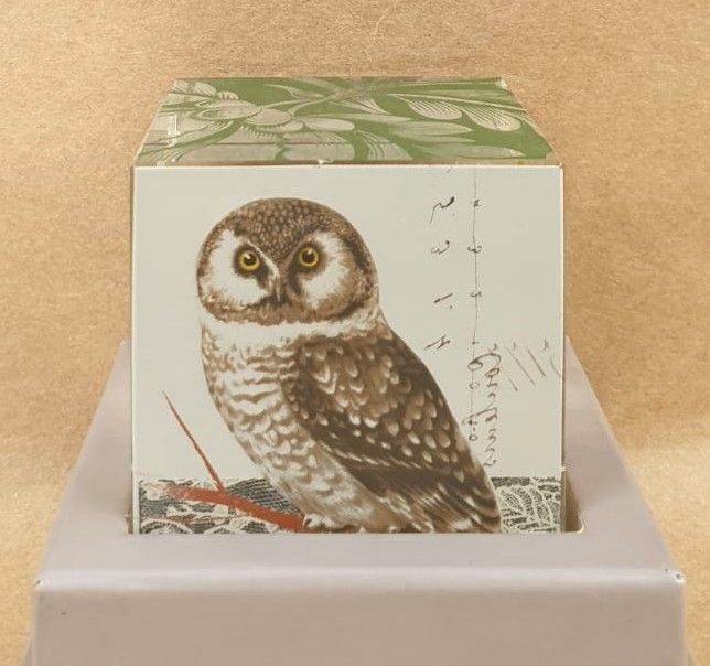 Paper Weight Chrystal Square Owl GP303