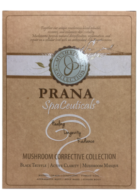 Mushroom Corrective Collection Kit Mushroom Corrective Collection Kit
