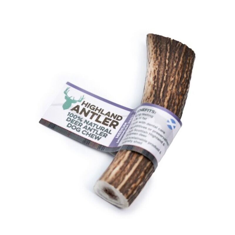 Deer Antler (Medium)