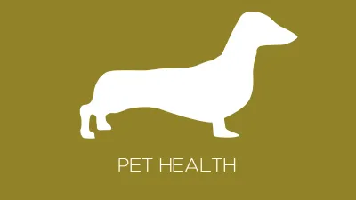 Raw Paws Pet Health