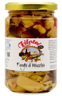 FUNGHI DI MUSCHIO - 280GR