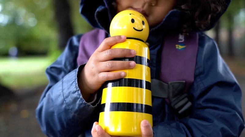 12HOT | 24COLD Water Bottle  - Bumble Bee