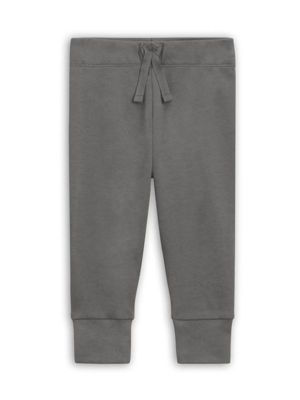 Cruz Joggers | Pewter