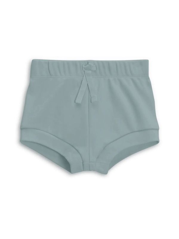 Havana Shorts | Ocean