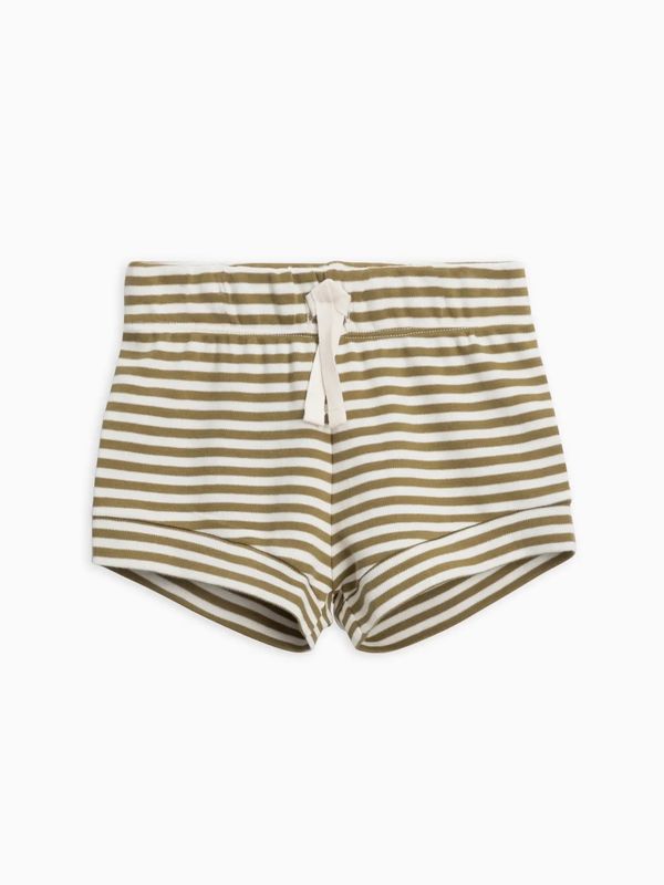 Havana Shorts | Greely Stripe / Ivory + Herb