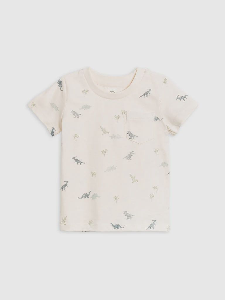 Everest Tee | Dino/Thyme