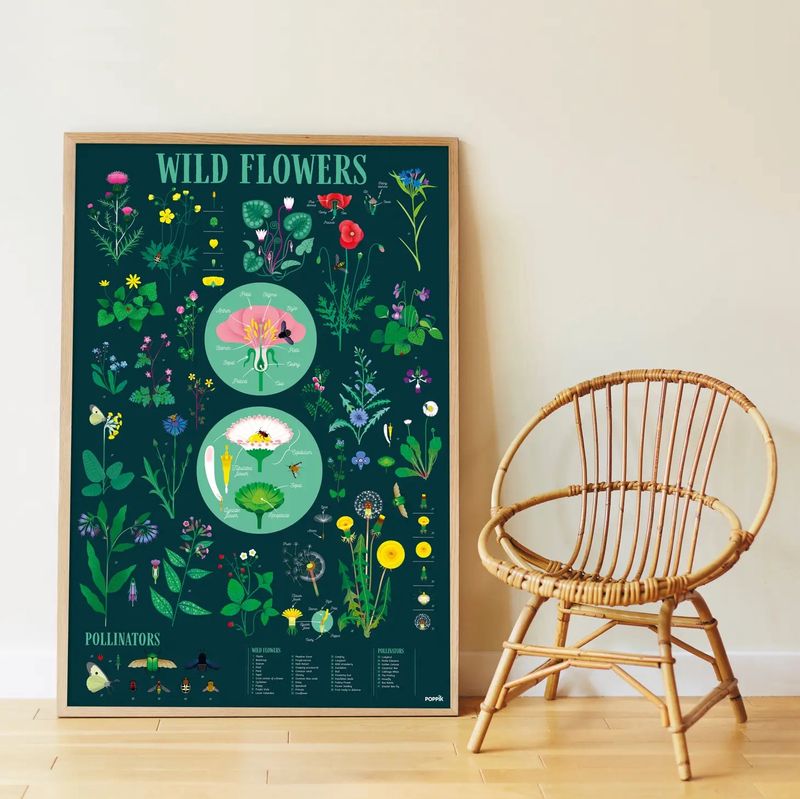 Botanic - Poster en stickers - Discovery 7+