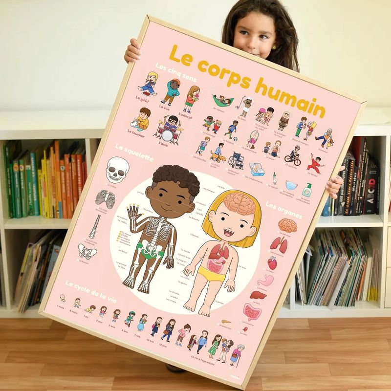 Le corps humain - Poster en stickers - Discovery 4 +