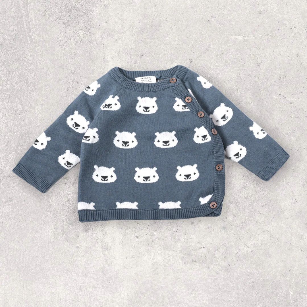 Cozy Bear Jacquard Sweater Knit Side Button Sweater