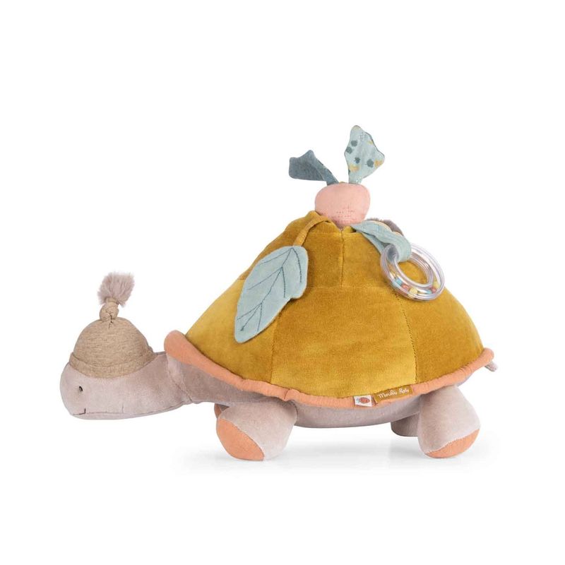 Activity Turtle (Large)