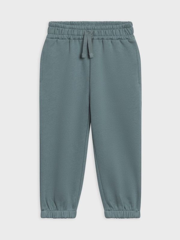 Leif Fleece Sweatpants | Teal