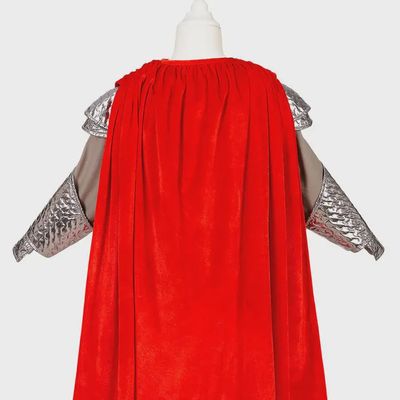 King Arthur Dress Up