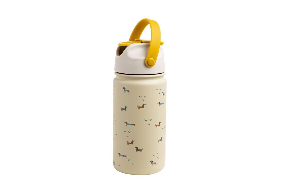 Insulated Stainless Bottle | Teckel