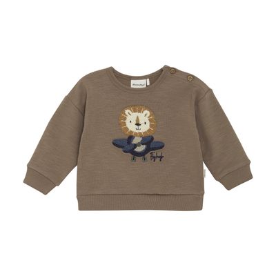 Lion Airplane Sweatshirt