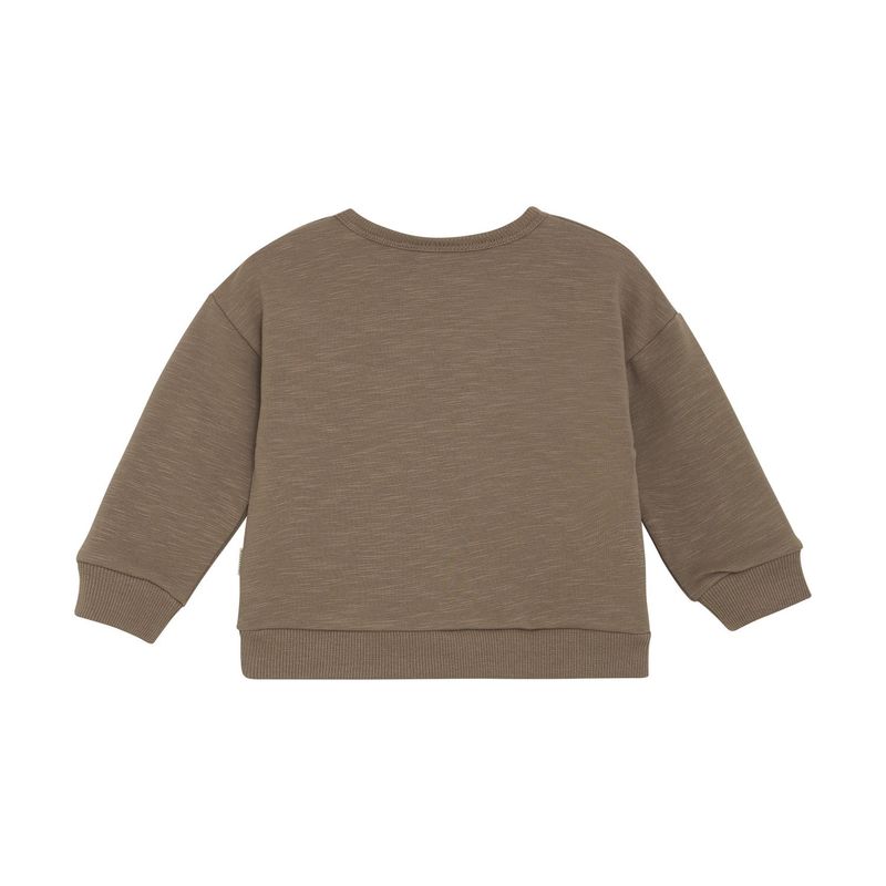 Lion Airplane Sweatshirt