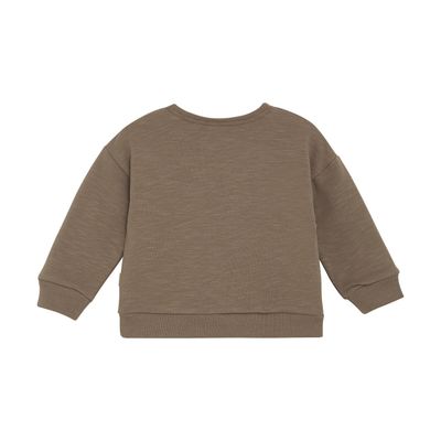 Lion Airplane Sweatshirt