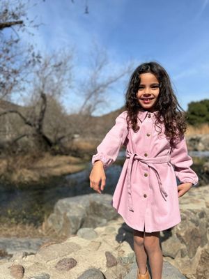 Shannon Coat Dress | Rose