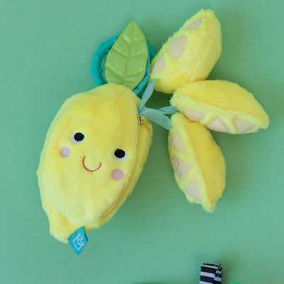 Farmer's Market Lemon Travel Toy