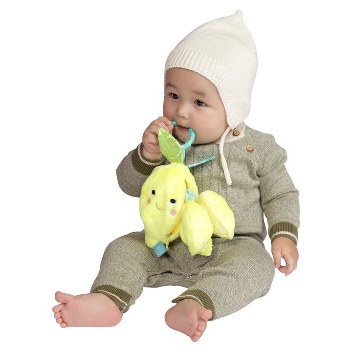 Farmer&#39;s Market Lemon Travel Toy